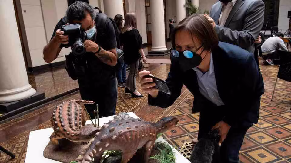 Tên chi của loài khủng long Stegouros elengassen bắt nguồn từ những từ tiếng Hy Lạp có nghĩa là "mái nhà" (stego) và "đuôi" (uros) - và tên loài của nó elengassen, đề cập đến một con thú bọc thép trong thần thoại của người Aónik'enk địa phương.