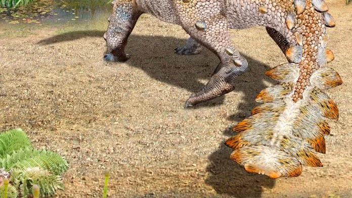 Ngoài việc để lộ chiếc đuôi vũ khí hóa của nó, phần còn lại của khủng long phản ánh về một câu chuyện chưa từng được biết đến trước đây về quá trình tiến hóa của loài khủng long tên là Stegouros elengassen.