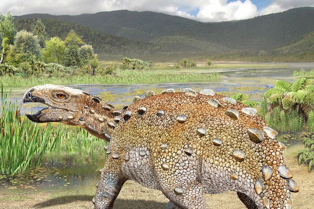 Các nhà cổ sinh vật học đã tìm thấy S. elengassen trong đá hóa thạch thuộc kỷ Phấn trắng có niên đại từ 71,7 triệu đến 74,9 triệu năm trước.