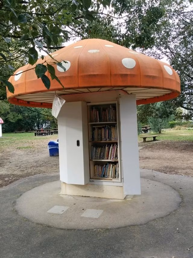 Cây nấm khổng lồ trong công viên vừa có thể là nơi tránh mưa, vừa là một thư viện miễn phí cho trẻ em.