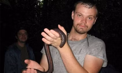 Theo thông tin đăng tải trên Tạp chí Victoria, nghiên cứu tuyên bố giun Gippsland là loài giun lớn nhất trên thế giới. Thậm chí, nó lớn hơn nhiều so với bất kỳ loài giun đất nào trong số hơn 1.000 con giun đất khác có nguồn gốc từ Úc. Đương nhiên, nó cũng phải đối mặt với những thách thức tương tự ngày càng trầm trọng hơn bởi kích thước khổng lồ của nó.