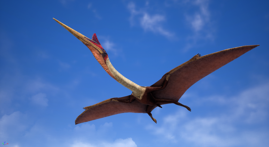 Đồng tác giả Matthew Brown, giám đốc Hiệp hội Sinh vật Cổ đại Mỹ cũng là giáo sư tại Đại học Texas ở Austin, Mỹ cho biết, các nhà khoa học của nhóm đã bối rối khi thấy một sinh vật lớn như vậy lại có thể bay được.