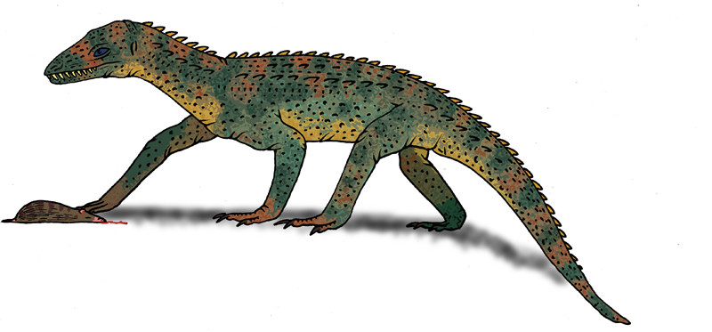 Loài bò sát cổ đại đã tuyệt chủng được gọi là Uatchitodon chỉ được biết đến khi phát hiện ra răng nhanh đặc thù của chúng.