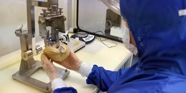 Quả tim của Carmat có hình dáng bên ngoài giống như quả tim người.