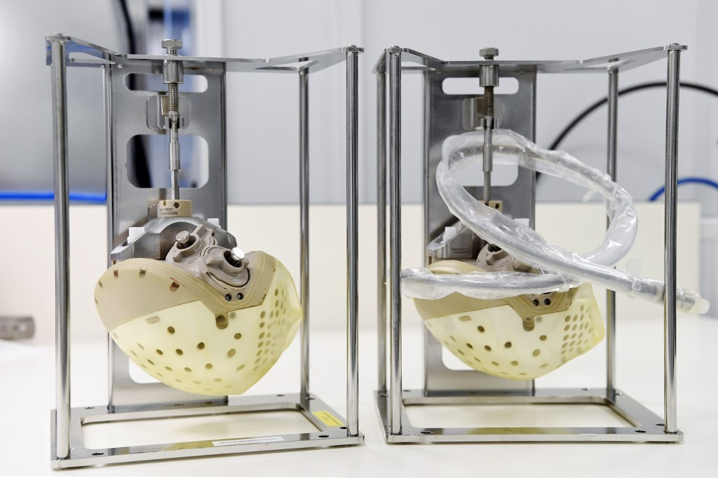 Nó có trọng lượng 900gr (quả tim người nặng 300gr) nhưng không gây trở ngại cho người được ghép. Tim có 2 tâm thất và 4 van tim.