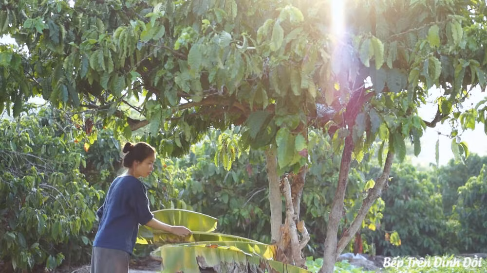 Cụ thể, trong video làm kẹo mạch nha mới đây chủ nhân kênh Bếp Trên Đỉnh Đồi - Tâm An lại một lần nữa nhận phải những bình luận không hay.