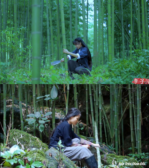 Những lùm xùm liên quan đến việc kênh YouTube Bếp Trên Đỉnh Đồi đạo nhái Lý Tử Thất gây xôn xao suốt một thời gian dài. Bản thân Tâm An cũng từng phải khoá tài khoản Facebook cá nhân và fanpage cùng tên, đồng thời chọn cách im lặng dù bị nhiều người công kích trên mạng xã hội.