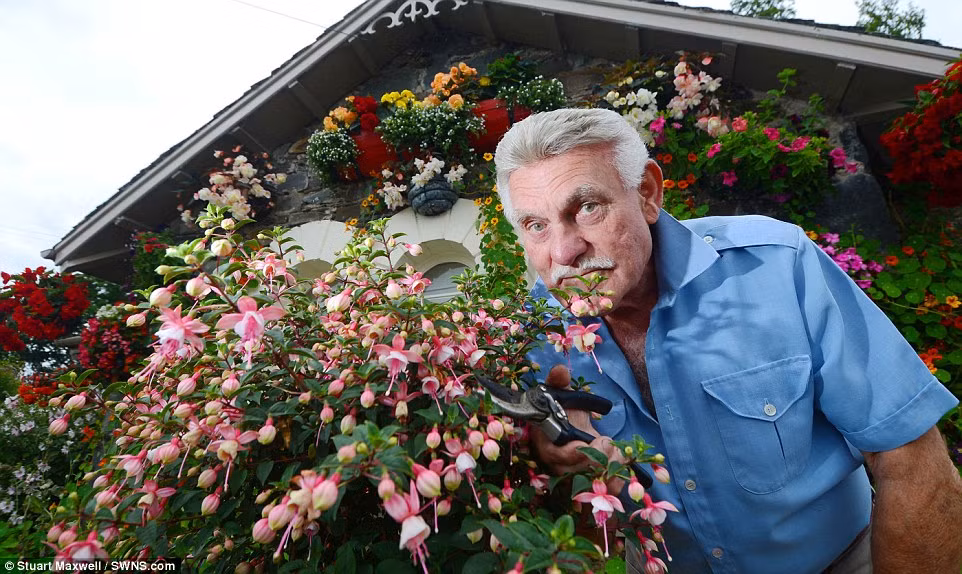 Được biết, không chỉ ban ngày, du khách còn thích chụp ảnh khu vườn vào ban đêm.