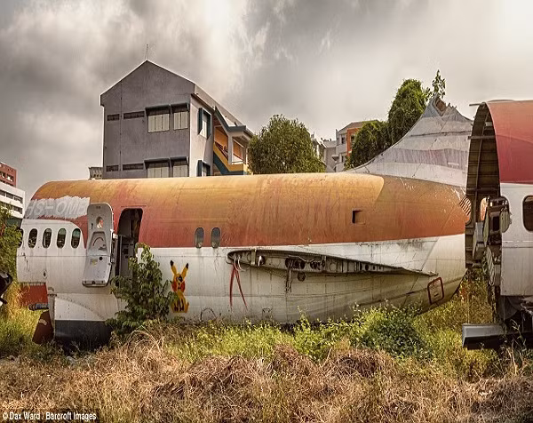 “Khu nghĩa địa này có vẻ gì đó rất kỳ quái”, Ward nói.