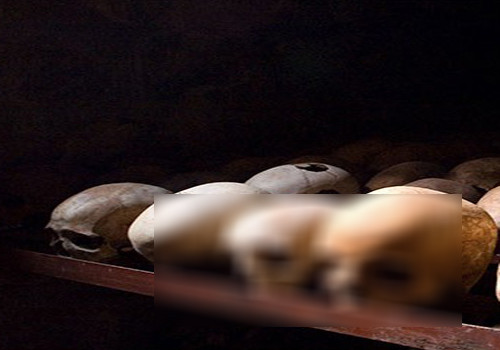 Diệt chủng Rwandan: Nạn diệt chủng trong khoảng những năm đầu của thập niên 90 tại Rwanda đã khiến khoảng 1 triệu người thiệt mạng.