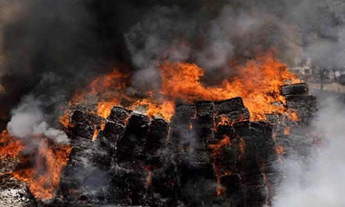 Hình ảnh ghi lại cảnh thiêu hủy 40 tấn cần sa tại El Aguaje de La Tuna ngày 16/5/2014.