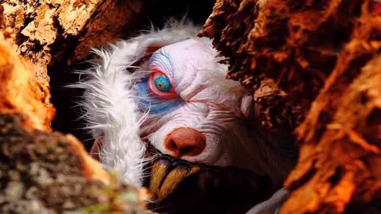 Bề ngoài của những chú thỏ đột biến vì nhiễm phóng xạ có thể trông vẫn bình thường nhưng chúng mang nhiều độc tố nguy hiểm.