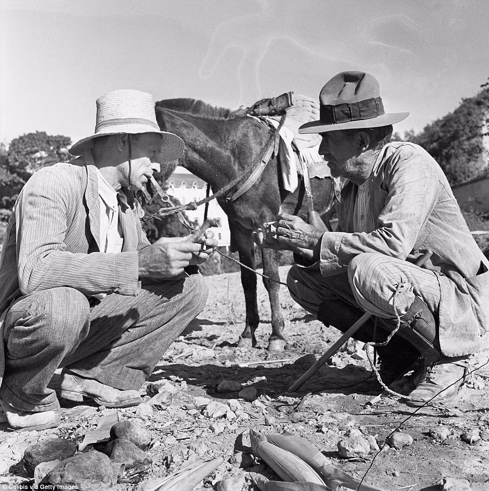 Hai cao bồi trò chuyện với nhau ở một khu vực xa xôi của thành phố.