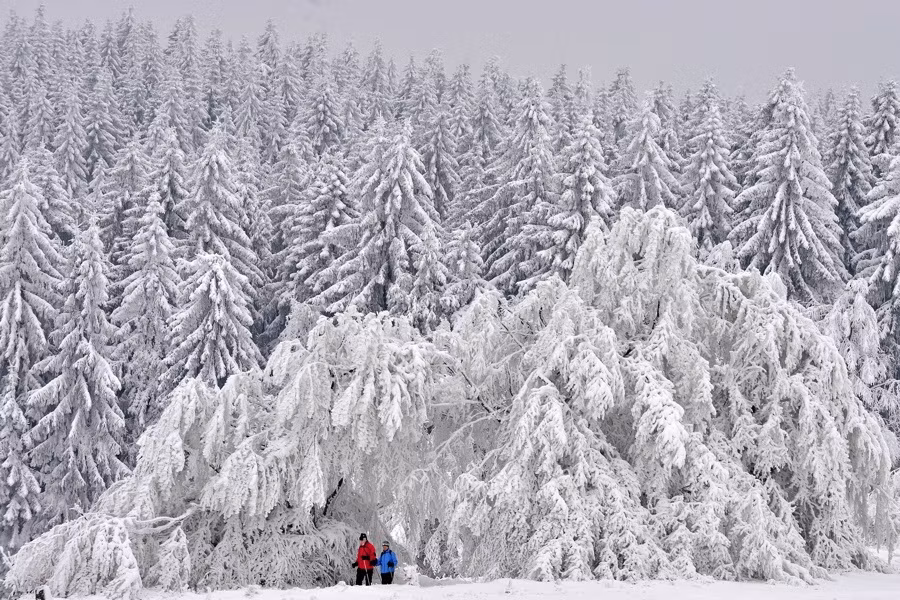 Hai con người nhỏ bé giữa thiên nhiên hùng vĩ gần Masserberg, Đức.