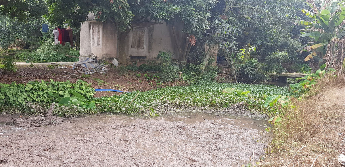 Du an duong day 35KV cua EVN Hai Duong: Vi sao dan to cao UBND huyen Nam Sach?-Hinh-4