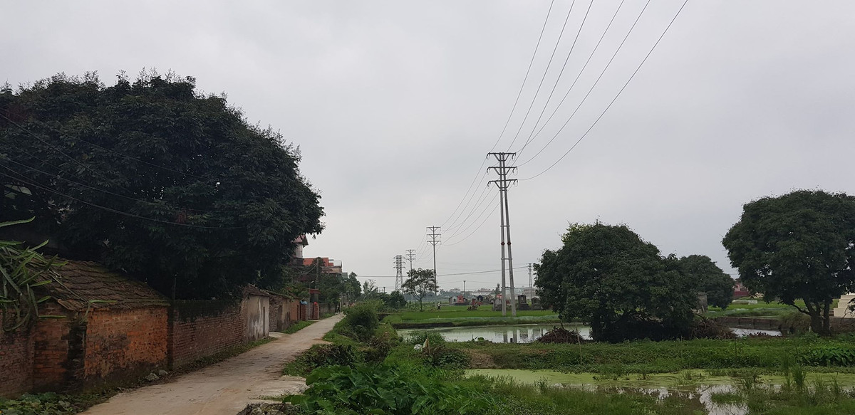 Du an duong day 35KV cua EVN Hai Duong: Vi sao dan to cao UBND huyen Nam Sach?