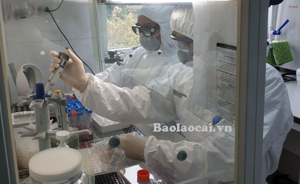 Cong ty Tam Viet cho Lao Cai muon may XN COVID-19: “Long tot” day nghi van?