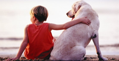 Phe nào cũng có cái lý riêng của mình nhưng quả thật, người phương Tây luôn rất dễ kinh ngạc, choáng váng khi chứng kiến cảnh người Việt ăn thịt chó, coi việc giết chó như một chuyện hết sức bình thường.