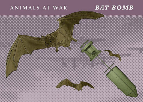 Một trong những vũ khí có sức tàn phá nhất của Mỹ chống lại Nhật hồi Thế chiến II có thể không phải là bom nguyên tử mà những quả bom dơi. Dự án này được gọi là X-Ray. Mỗi một quả bom lớn chứa hàng trăm con dơi ở bên trong. Mỗi con dơi lại mang theo một lượng nổ.