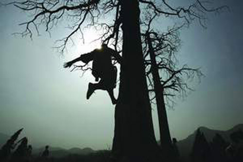 Võ sư Hàng Thanh viết: “Thường trong những thiên ký sự hay tiểu thuyết võ hiệp, cổ nhân thuật tả những trang hiệp sĩ hoặc những đạo tặc... đều có võ công cao cường, phi thiềm tẩu bích ra vào thành cao hào rộng mà đối với người thường thì là những trở ngại khó có thể vượt qua, ấy là những công phu tuyệt hảo của võ lâm chứ chẳng phải hoàn toàn là chuyện bịa chơi của các nhà văn".