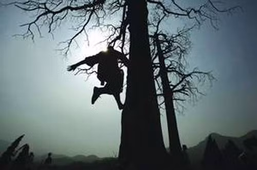 Võ sư Hàng Thanh viết: “Thường trong những thiên ký sự hay tiểu thuyết võ hiệp, cổ nhân thuật tả những trang hiệp sĩ hoặc những đạo tặc... đều có võ công cao cường, phi thiềm tẩu bích ra vào thành cao hào rộng mà đối với người thường thì là những trở ngại khó có thể vượt qua, ấy là những công phu tuyệt hảo của võ lâm chứ chẳng phải hoàn toàn là chuyện bịa chơi của các nhà văn".