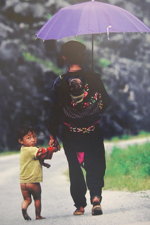 Anh ong bo cham con sinh non gay xuc dong manh-Hinh-5