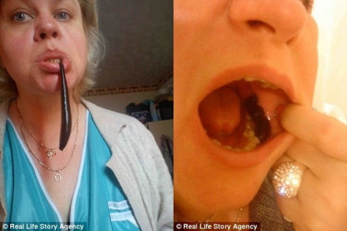 Cho 200 con dia hut mau de giam can tot cho chuyen ay-Hinh-3