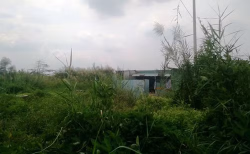 Nguoi dan Thu Thiem mong uoc gi truoc them nam moi?-Hinh-3