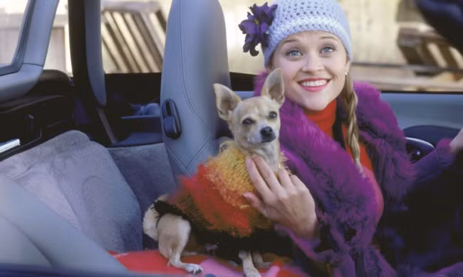 Chỉ sử dụng kem chống nắng cho da mặt nhưng không dùng cho cổ, tay... Bạn nên biết, vùng da tay cũng khá nhạy cảm và rất dễ lão hóa. Nếu da tay, da cổ tiếp xúc nhiều với ánh nắng mặt trời nhưng không được bảo vệ sẽ rất dễ nổi đồi mồi và nếp nhăn.