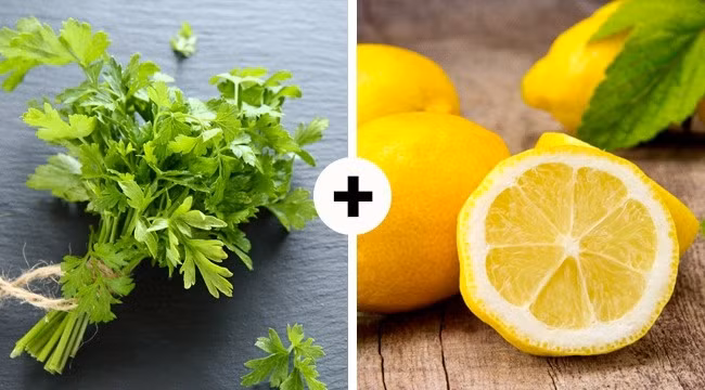 Các chất sắt chứa trong rau xanh giúp cải thiện sự hấp thụ vitamin C vào trong máu, làm tăng cường hệ thống miễn dịch và cải thiện sự trao đổi chất. Vì vậy, loại thức uống từ rau mùi với cam quýt cũng rất tốt cho sức khỏe.