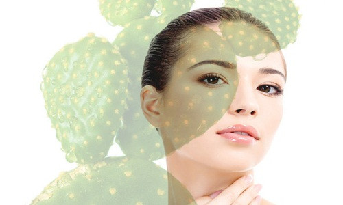 Bo tui meo lam dep hay ho tu cay xuong rong-Hinh-2