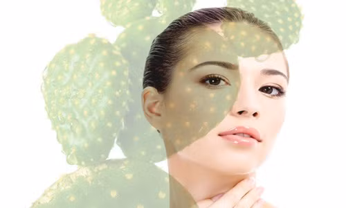 Bo tui meo lam dep hay ho tu cay xuong rong-Hinh-2