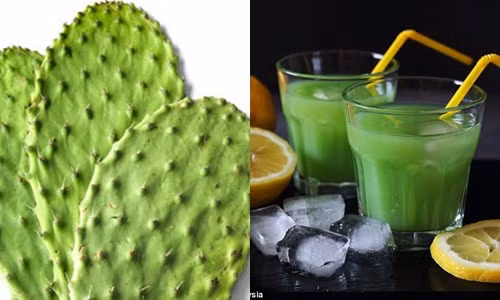 Bat ngo voi tac dung giam can cua mit non, xuong rong-Hinh-2