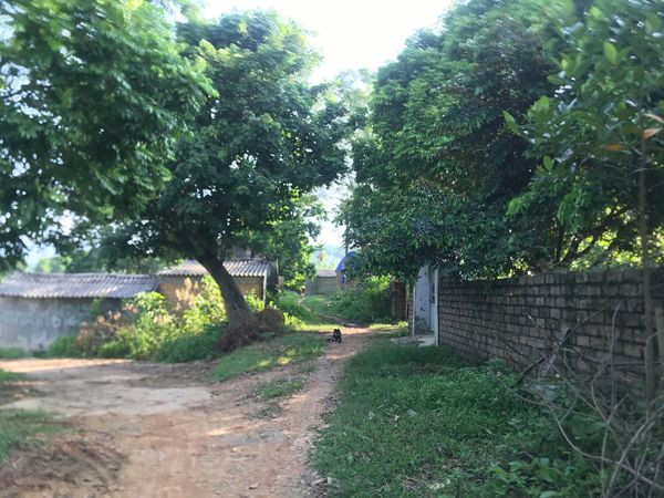 Nghi an 2 nguoi dan ong U60 xam hai tinh duc 2 chi em ruot, 1 chau mang thai