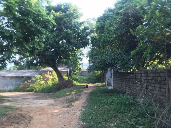 Nghi an 2 nguoi dan ong U60 xam hai tinh duc 2 chi em ruot, 1 chau mang thai