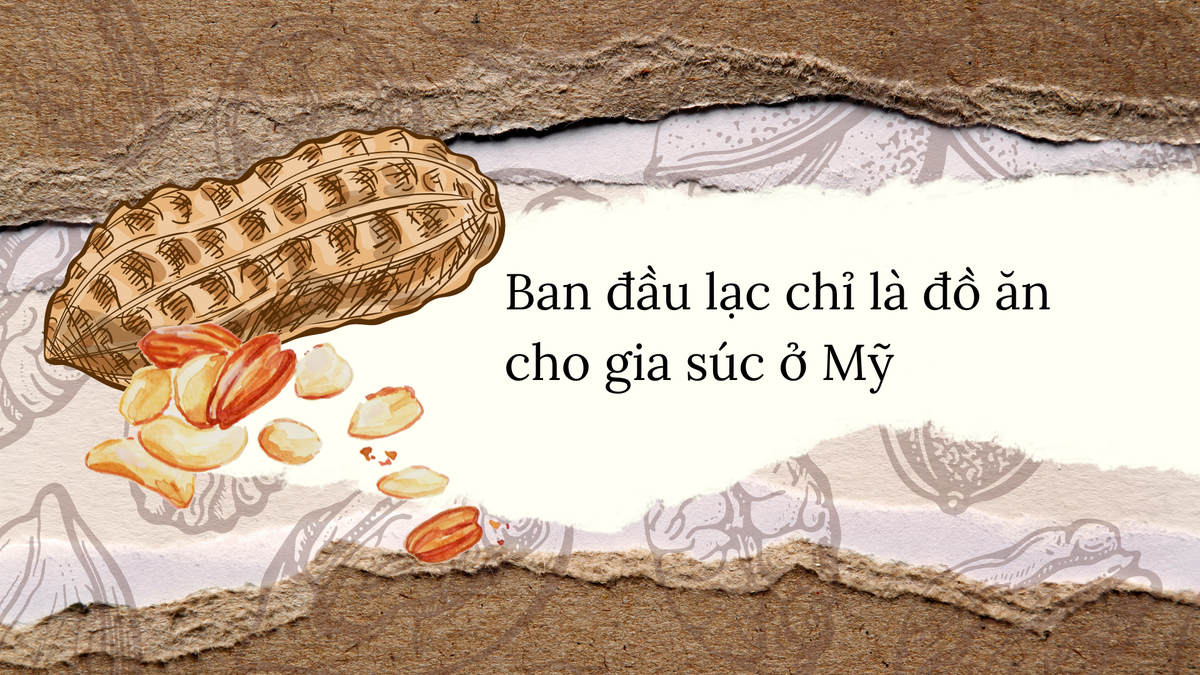 Sự thực hạt thông là thuốc tăng cường khả năng phòng the cổ xưa - Hình 3 Su thuc hat thong la thuoc tang cuong kha nang phong the co xua-Hinh-3