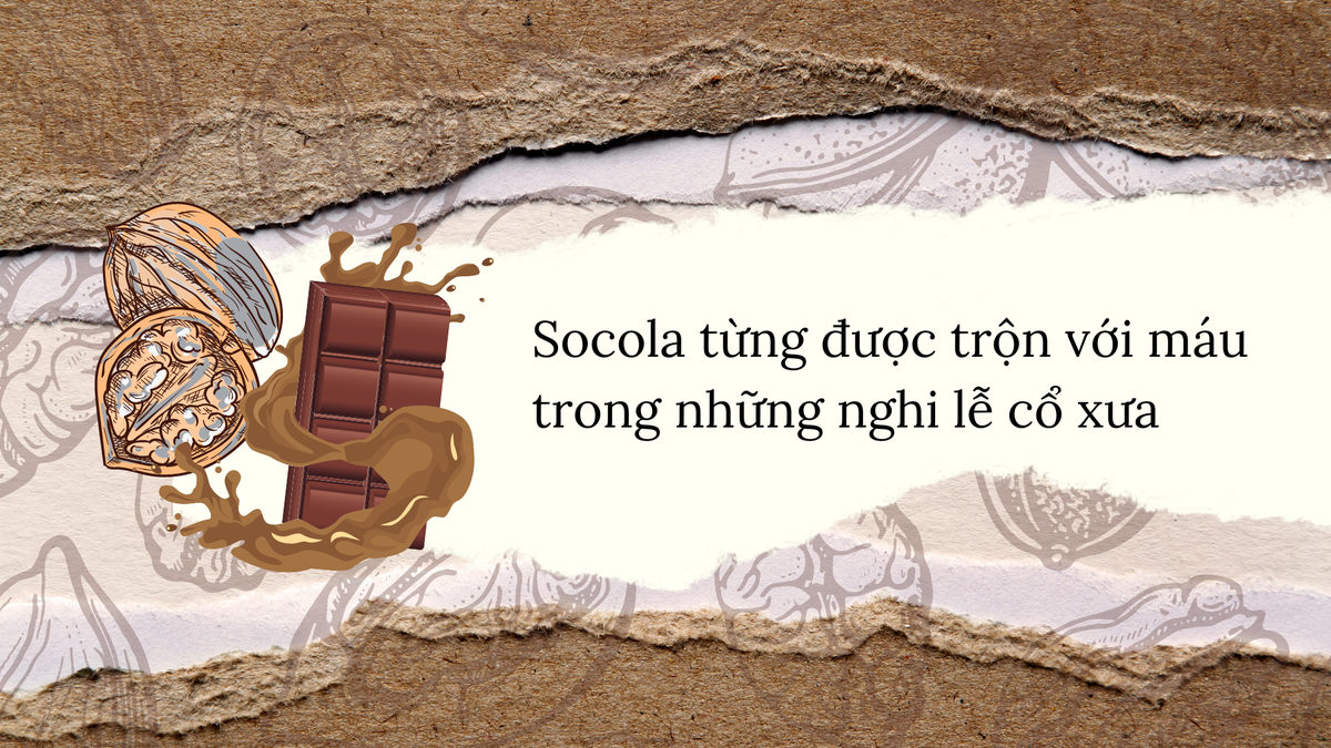 Sự thực hạt thông là thuốc tăng cường khả năng phòng the cổ xưa - Hình 4 Su thuc hat thong la thuoc tang cuong kha nang phong the co xua-Hinh-4