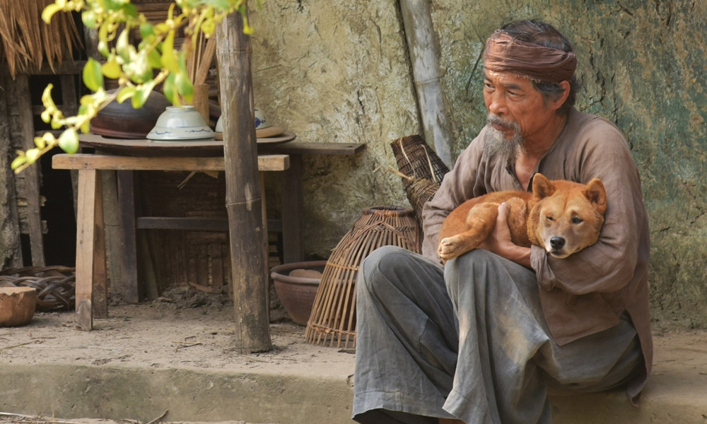 Hành động bán chó và tự kết thúc cuộc đời mình là chi tiết đắt giá của Nam Cao. Lão Hạc trở thành nhân vật đặc biệt, đại diện cho người nông dân thống khổ trước cách mạng tháng Tám, còn cậu Vàng trở thành chú chó nổi tiếng của văn học hiện thực. 