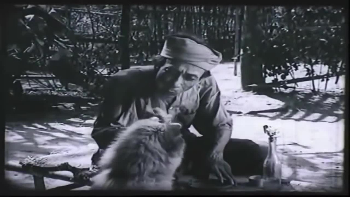 Nút thắt của truyện bắt đầu khi lão Hạc bán chó. Lý do không chỉ vì gia cảnh nghèo khó còn trải qua một trận ốm, lão đã kiệt quệ, không còn sức để nuôi nổi bản thân, huống chi là còn có thêm một con chó. Nên ông lão đành cắn răng bán "cậu Vàng" đi với tâm trạng giằng xé, đau đớn tốt cùng.