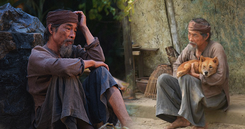 Cậu Vàng trong tác phẩm Lão Hạc của Nam Cao không xuất hiện với hình dáng, màu lông, tập tính, không được miêu tả trực tiếp mà chỉ được xuất hiện qua những câu chuyện của Lão Hạc với ông Giáo. 