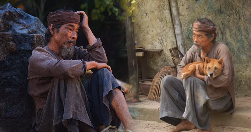 Cậu Vàng trong tác phẩm Lão Hạc của Nam Cao không xuất hiện với hình dáng, màu lông, tập tính, không được miêu tả trực tiếp mà chỉ được xuất hiện qua những câu chuyện của Lão Hạc với ông Giáo. 