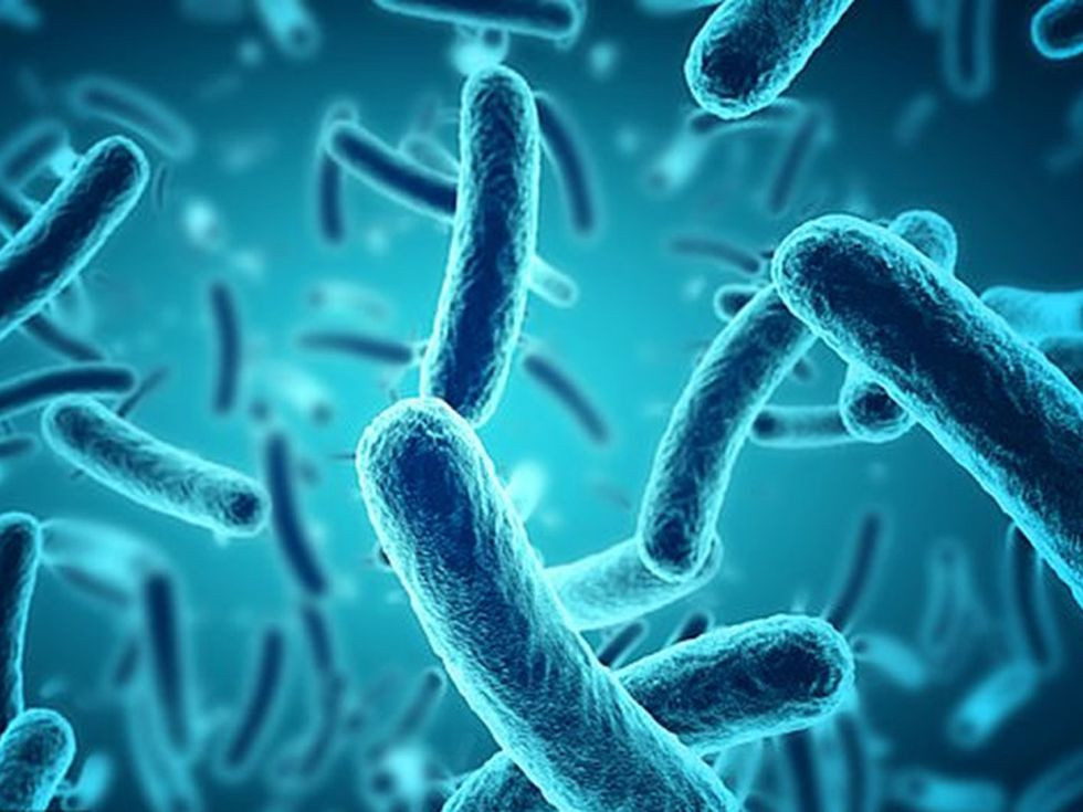 Thực tế, vi khuẩn và nhiều loại vết bẩn cứng đầu không theo nước đi ra ngoài mà bám lại ở lồng giặt mà mắt thường con người không nhìn thấy được.