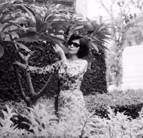 Nu tinh bao Tam Thao va nhung cuoc dau tri trong long dich-Hinh-2