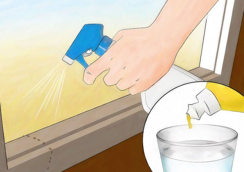 Các chuyên gia cho biết, có nhiều biện pháp phòng trừ kiến đã được áp dụng trên thế giới như dùng hóa chất, bả... Các gia đình cần hạn chế sử dụng thuốc phun diệt kiến bằng hóa chất bởi tiềm ẩn nhiều nguy cơ. Hiện nay, các biện pháp sử dụng bả được xem là hiệu quả nhất.