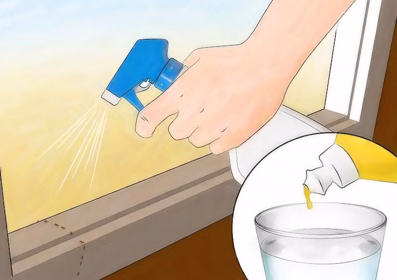 Các chuyên gia cho biết, có nhiều biện pháp phòng trừ kiến đã được áp dụng trên thế giới như dùng hóa chất, bả... Các gia đình cần hạn chế sử dụng thuốc phun diệt kiến bằng hóa chất bởi tiềm ẩn nhiều nguy cơ. Hiện nay, các biện pháp sử dụng bả được xem là hiệu quả nhất.