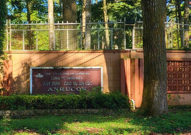 Cao su An Loc duoc Donaruco chi dinh den 80 goi thau?