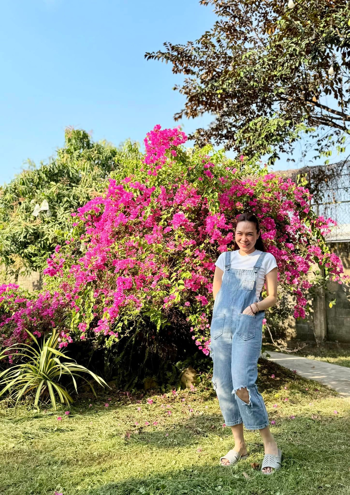 Mỹ Tâm tạo dáng xinh tươi bên giàn hoa giấy. Ảnh: FB My Tam