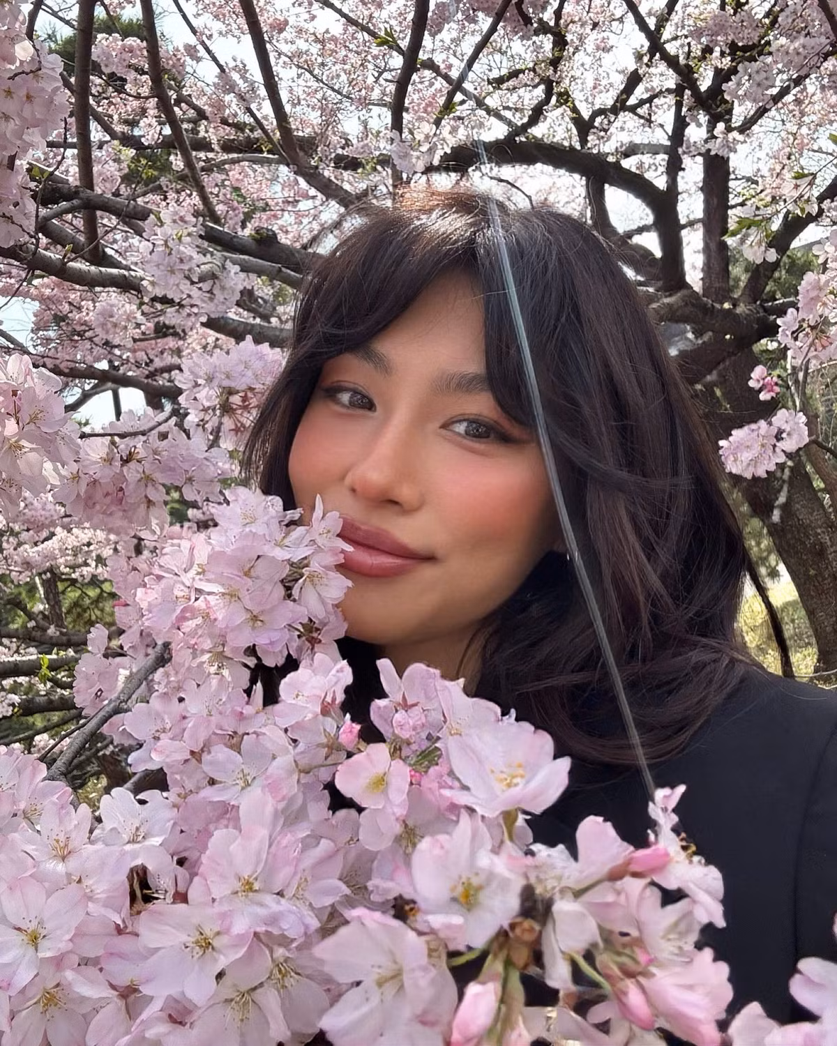 Á hậu Thảo Nhi Lê chụp ảnh bên hoa anh đào ở Nhật Bản. Ảnh: FB Thảo Nhi Lê