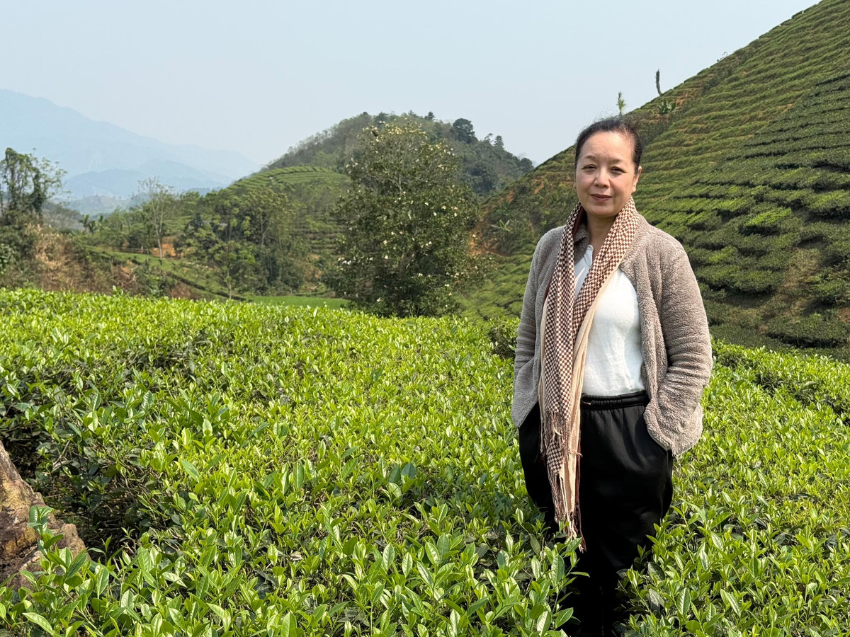 NSƯT Chiều Xuân chụp ảnh ở đồi chè Long Cốc. Ảnh: FB Nguyễn Thị Chiều Xuân