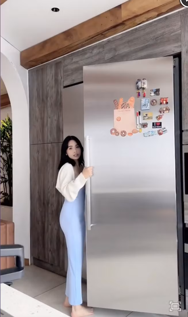 Vợ chồng ca nương Kiều Anh còn đầu tư 500 triệu đồng mua tủ lạnh "xịn" cho căn biệt thự. Ảnh chụp màn hình